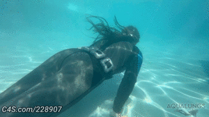 aqualungs50.com - Ode to Falcon Crest thumbnail